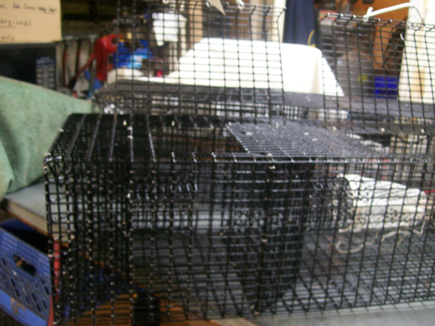 E-Z Catch # P-503 ( Eel Pot with Mesh Bag ) Single Chamber 24 x 11 x 9 ( 1/2 x 1 mesh )